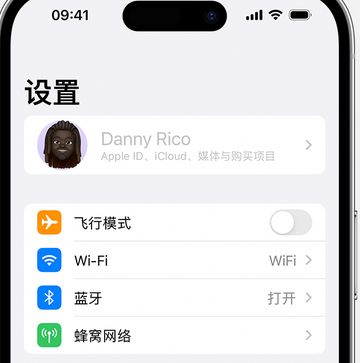 峨蔓镇appleID维修服务iPhone设置中Apple ID显示为灰色无法使用