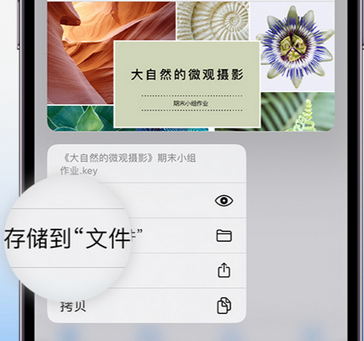 峨蔓镇apple维修中心分享iPhone文件应用中存储和找到下载文件