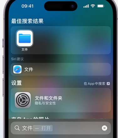 峨蔓镇apple维修中心分享iPhone文件应用中存储和找到下载文件 