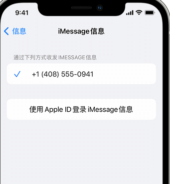 峨蔓镇apple维修iPhone上无法正常发送iMessage信息