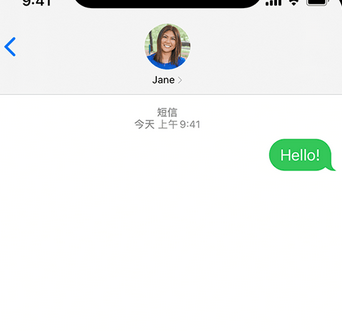 峨蔓镇apple维修iPhone上无法正常发送iMessage信息