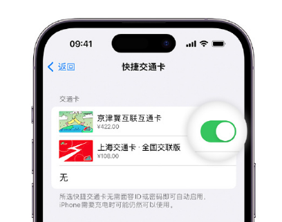 峨蔓镇apple维修点分享iPhone上更换Apple Pay快捷交通卡手绘卡面 