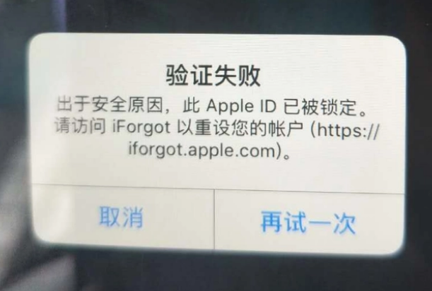 峨蔓镇iPhone维修分享iPhone上正常登录或使用AppleID怎么办 