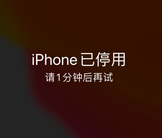 峨蔓镇苹果手机维修分享:iPhone 显示“不可用”或“已停用”怎么办？还能保留数据吗？ 