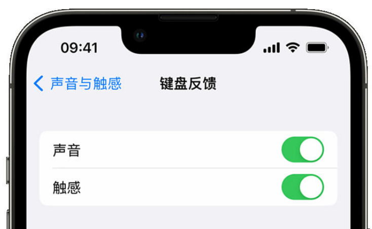 峨蔓镇苹果手机维修分享iPhone 14触感键盘使用方法 