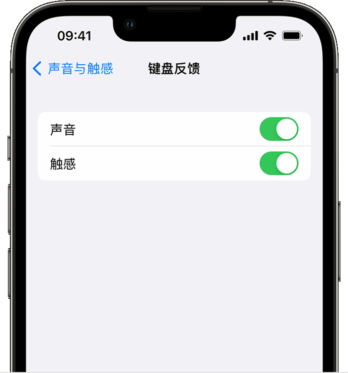 峨蔓镇苹果14维修店分享如何在 iPhone 14 机型中使用触感键盘 