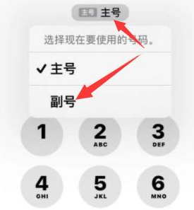 峨蔓镇苹果14维修店分享iPhone 14 Pro Max使用副卡打电话的方法 