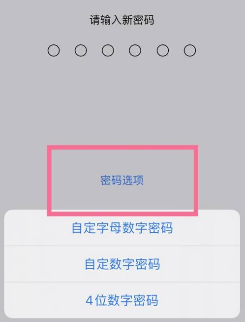 峨蔓镇苹果14维修分享iPhone 14plus设置密码的方法 