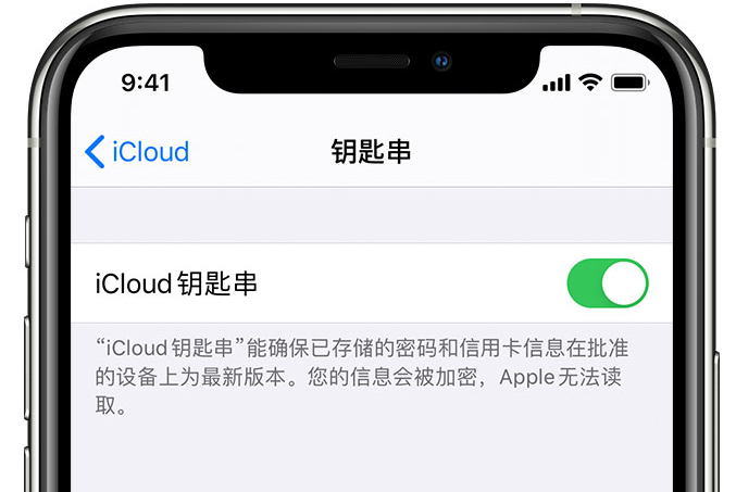 峨蔓镇苹果手机维修分享在 iPhone 上开启 iCloud 钥匙串之后会储存哪些信息 