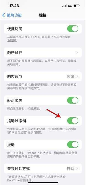 峨蔓镇苹果手机维修分享iPhone手机如何设置摇一摇删除文字 