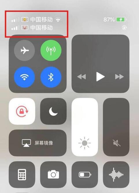 峨蔓镇苹果手机维修分享为 iPhone 12 双卡设置标签 