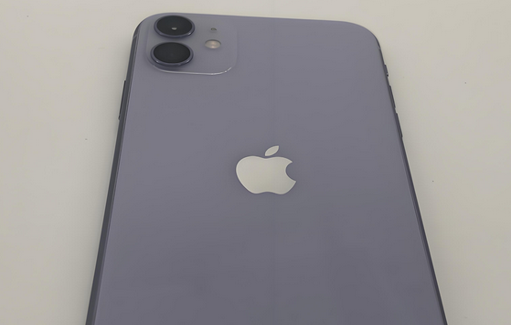 峨蔓镇苹果11系统维修分享iPhone11手机系统崩溃无法开机如何解决 